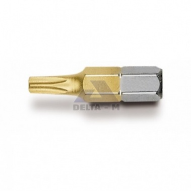 Bit Torx T40/25mm TITAN