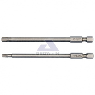 Bit Torx T20/100mm + T30/100mm