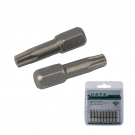 Bit Torx T20/25mm
